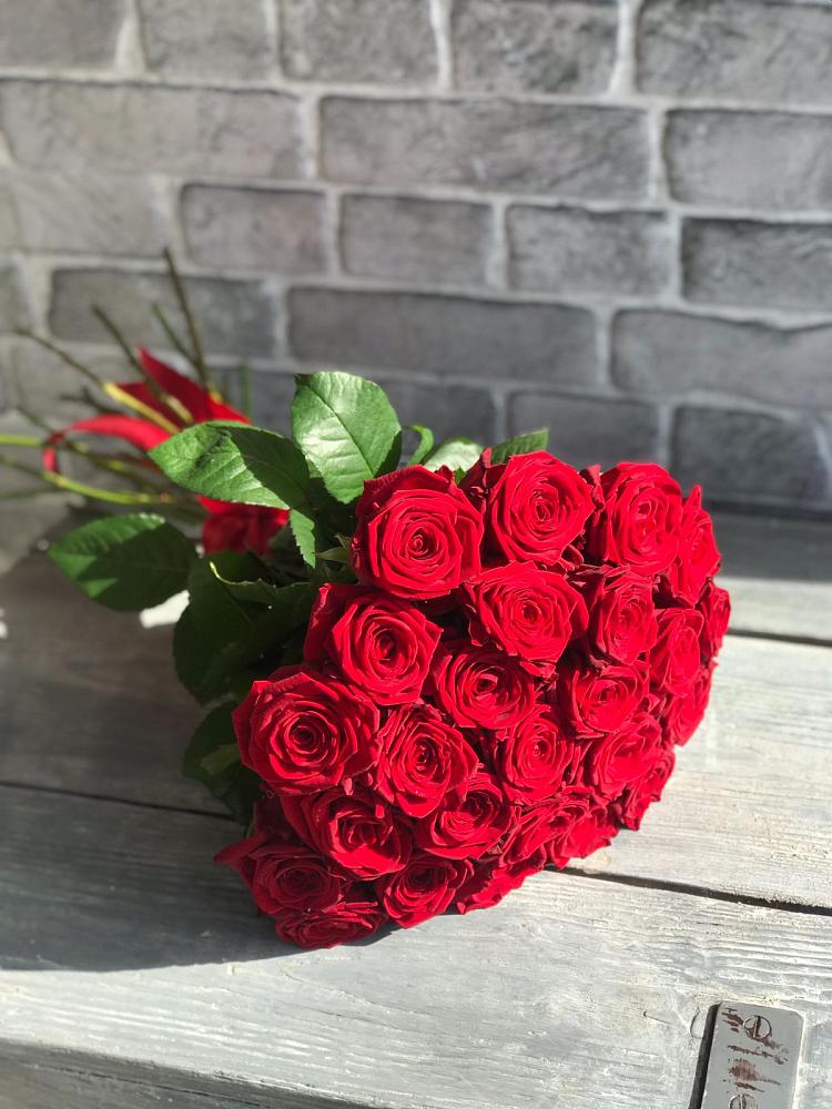 Букет Красные розы Фридом в Починке