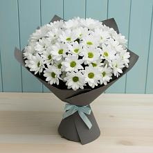 Букет цветов из:  Хризантемы #REPLACE_PRED# Починке