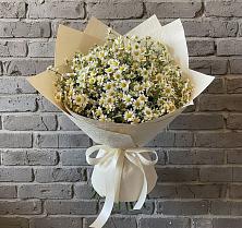 Букет цветов из:  Ромашки #REPLACE_PRED# Починке