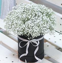 Цветочная композиция из Гипсофила в шляпной коробке #REPLACE_PRED# Починке