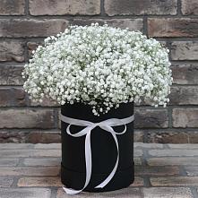 Цветочная композиция из Гипсофила в шляпной коробке #REPLACE_PRED# Починке